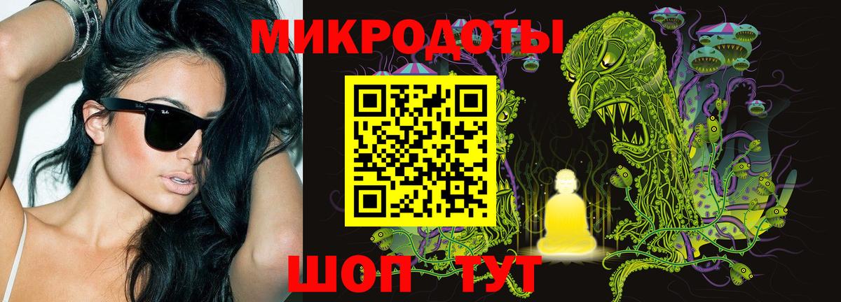 Галлюциногенные грибы Psilocybine cubensis Лесной