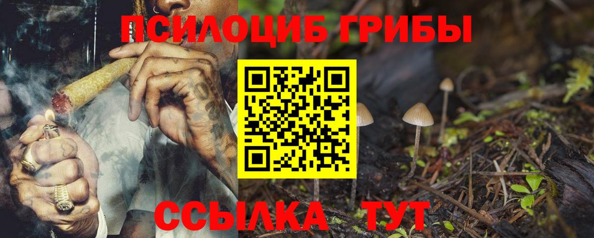 Лесной  Галлюциногенные грибы мухоморы  даркнет сайт  Вход с VPN 
